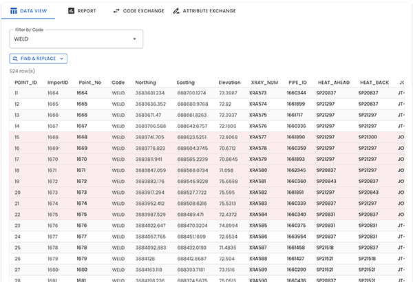 Octane Data View with filter-by-code and rows highlighted for data quality issues